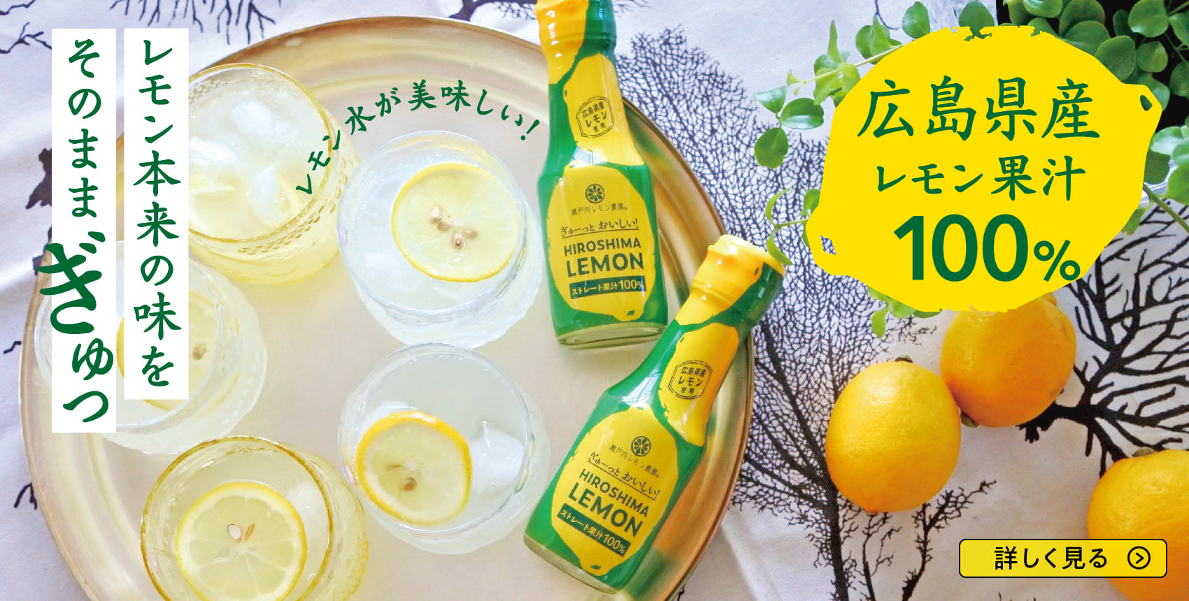 トップ 瀬戸内レモン農園